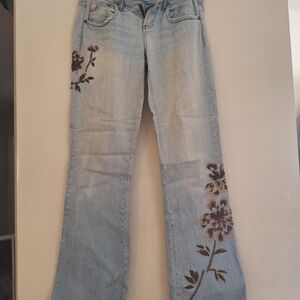 Light Blue Flare Jeans with Brown & pink Floral Embroidery